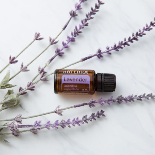 1x1 600x600 lavender essential oil benefits